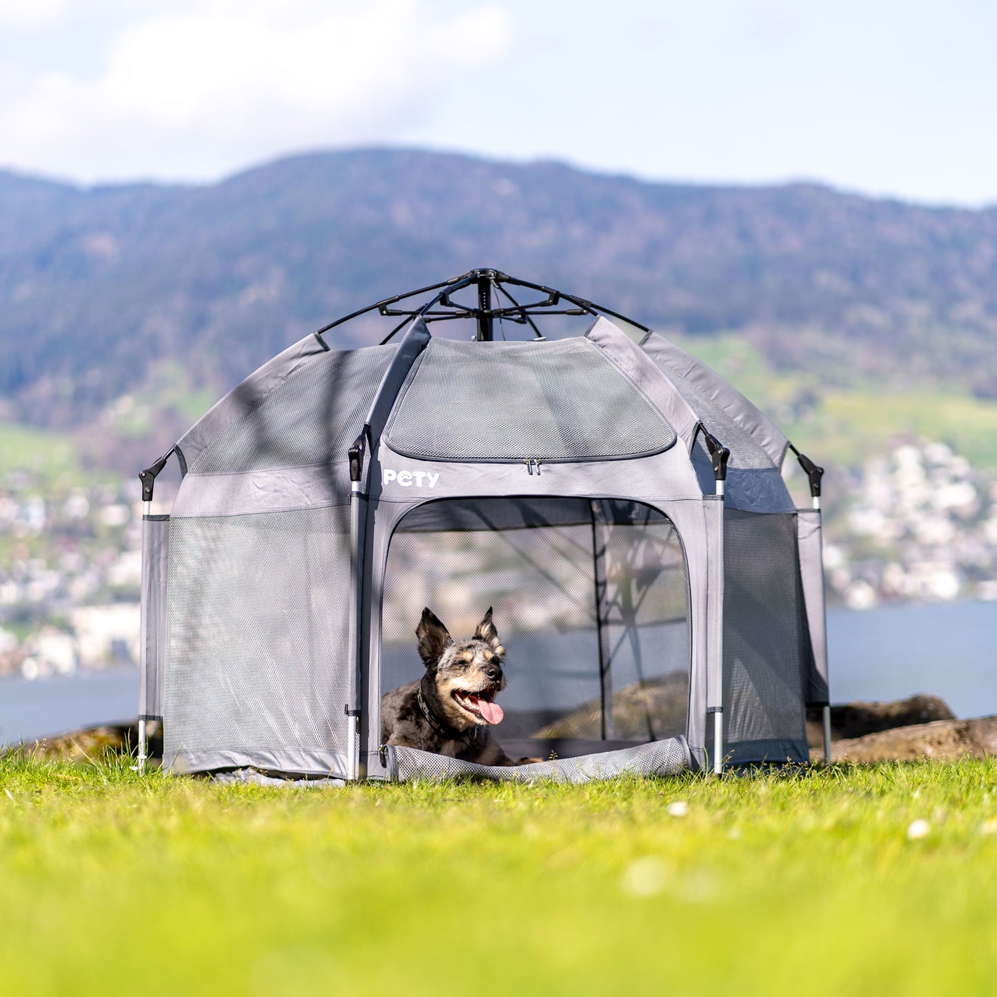 PETY Laufstall für Hunde gross am See