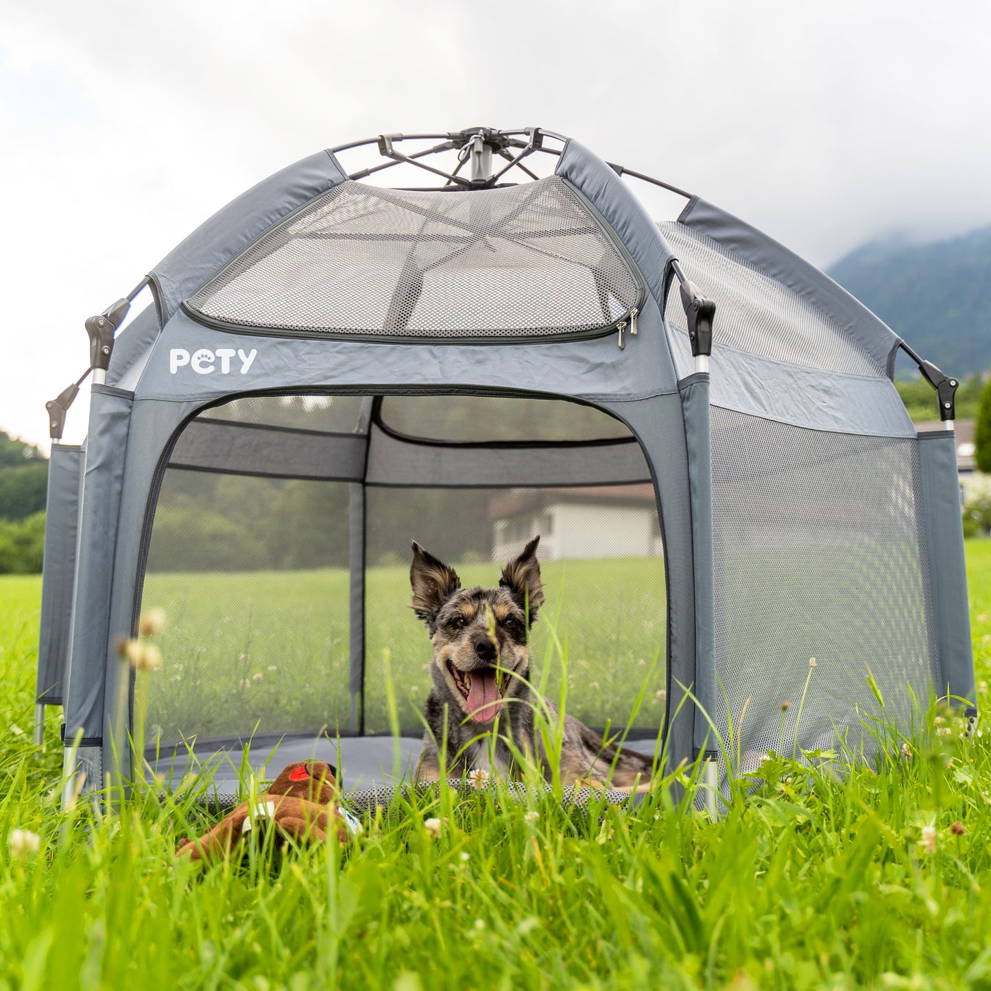 PETY Laufstall für Hunde gross im Garten