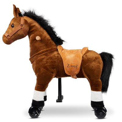 Zoosy Raidony Reittier, Pferd S