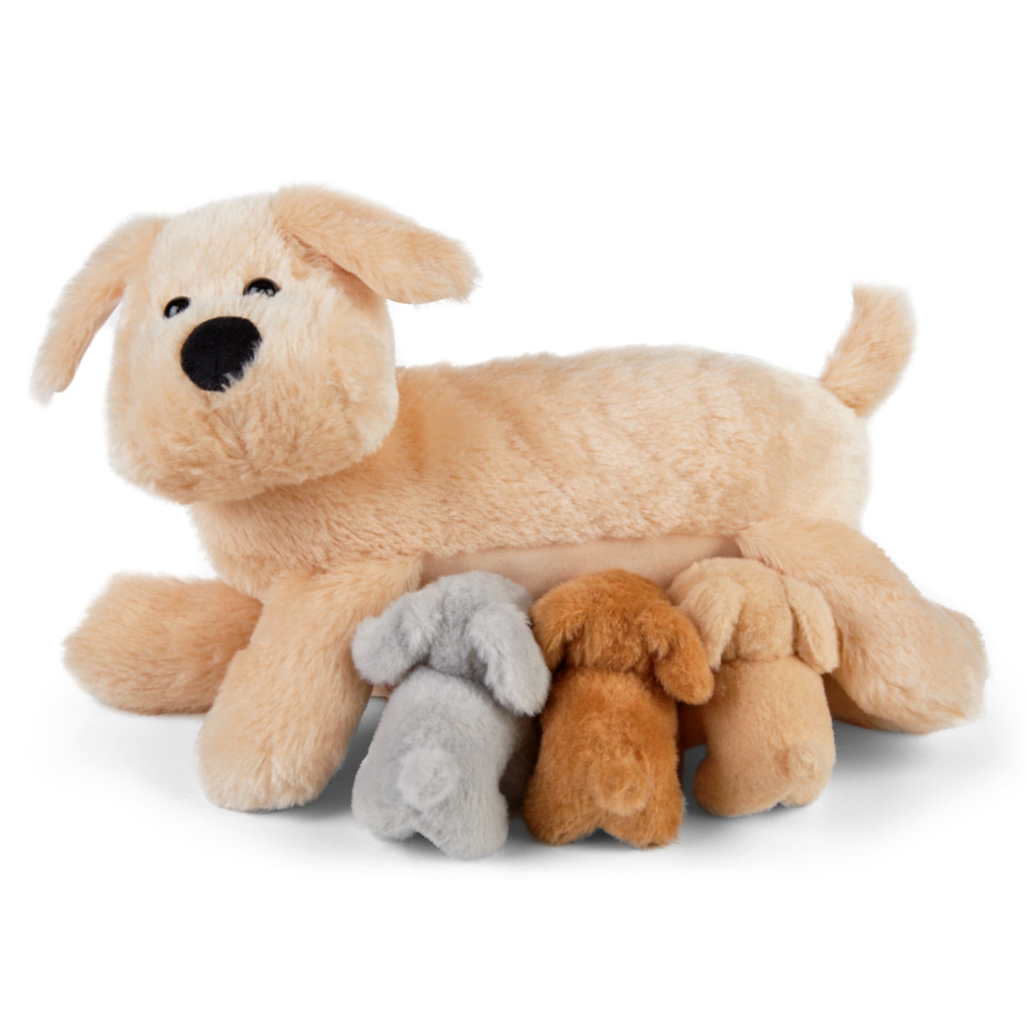 Mamanimals Hund mit Babys im Bauch
