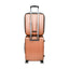 CASYRO Stand-Up Koffer 4.0 S Rose Gold
