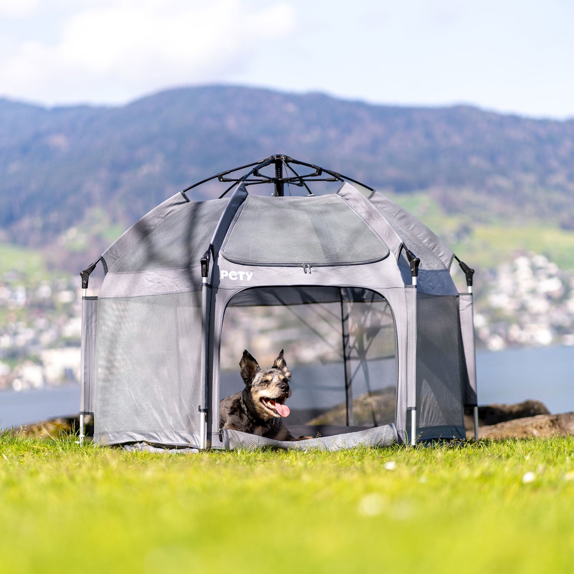 tente chien Großer Laufstall für Hunde mit Matte & Dach – PETY