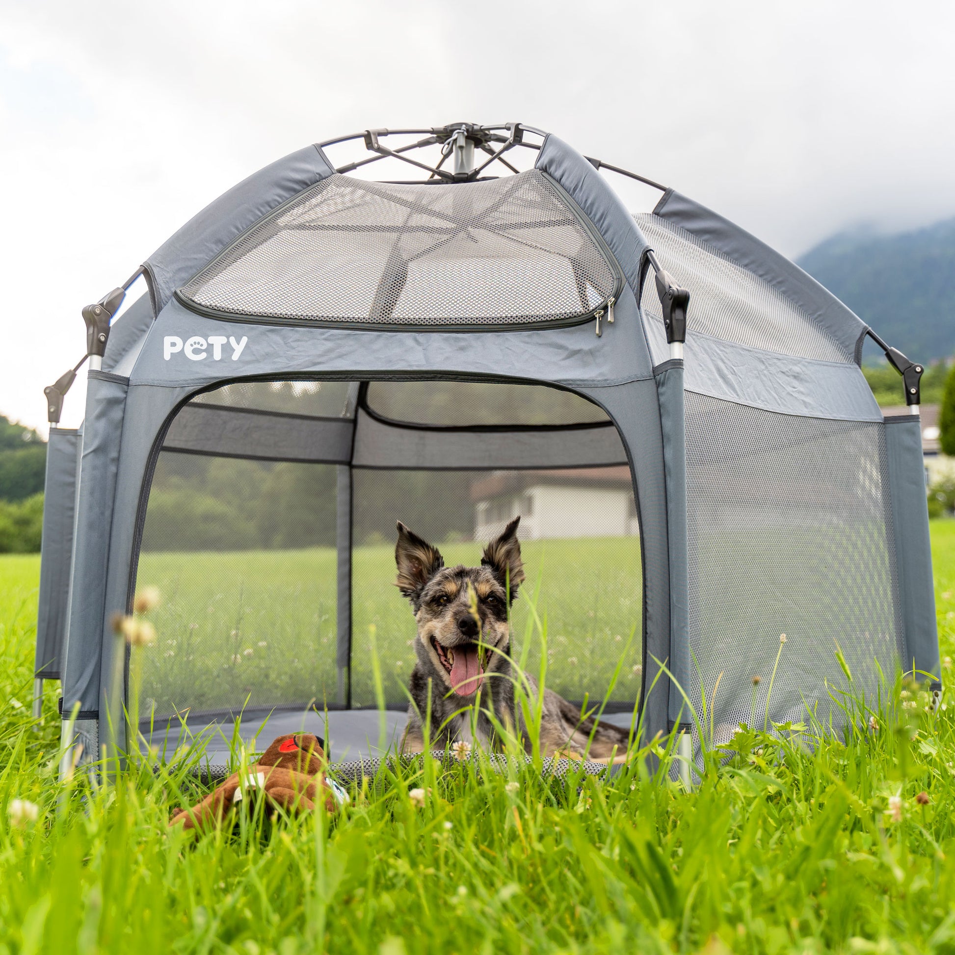 laufstall zelt Großer Laufstall für Hunde mit Matte & Dach – PETY