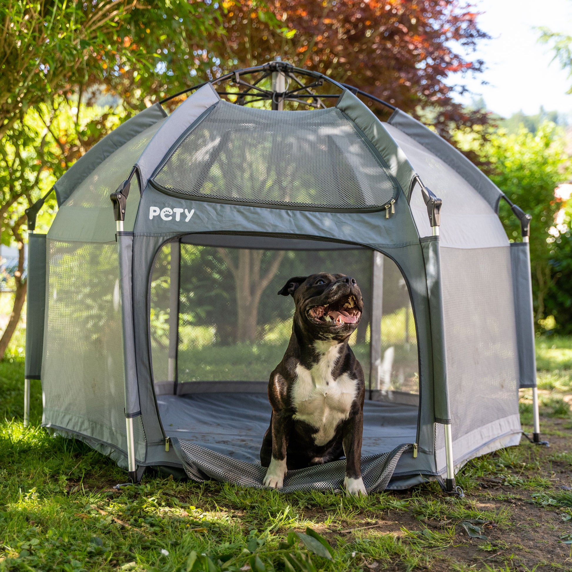 wurfzelt für hunde PETY – Der mobile Laufstall für große Hunde