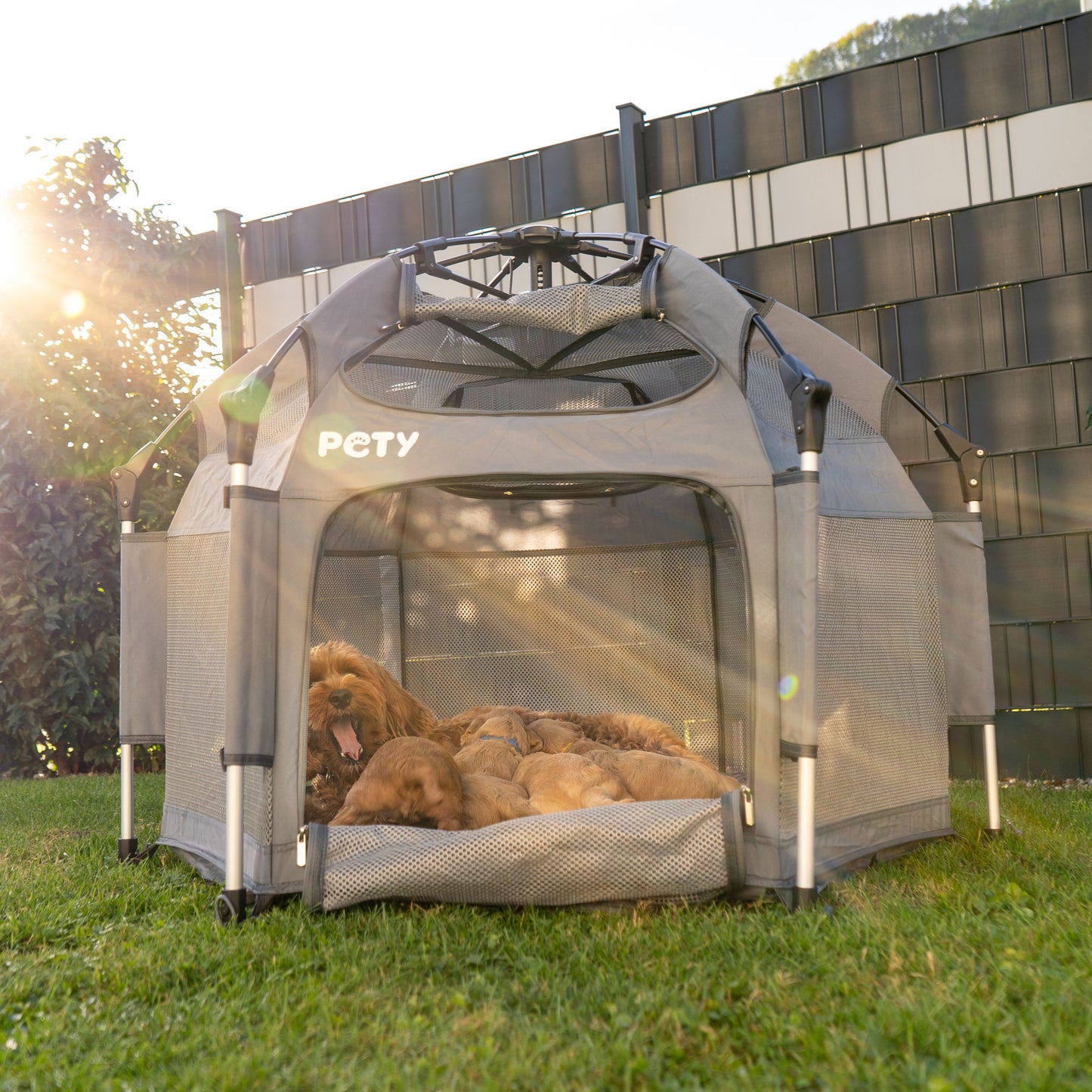 Set PETY parc pour chiens petit, avec tapis de sol et toit